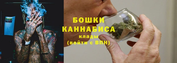 трава Нязепетровск