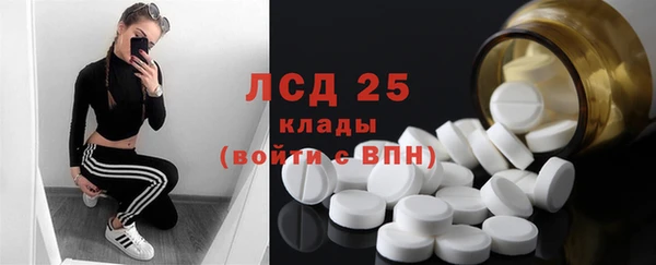 apvp Алексин